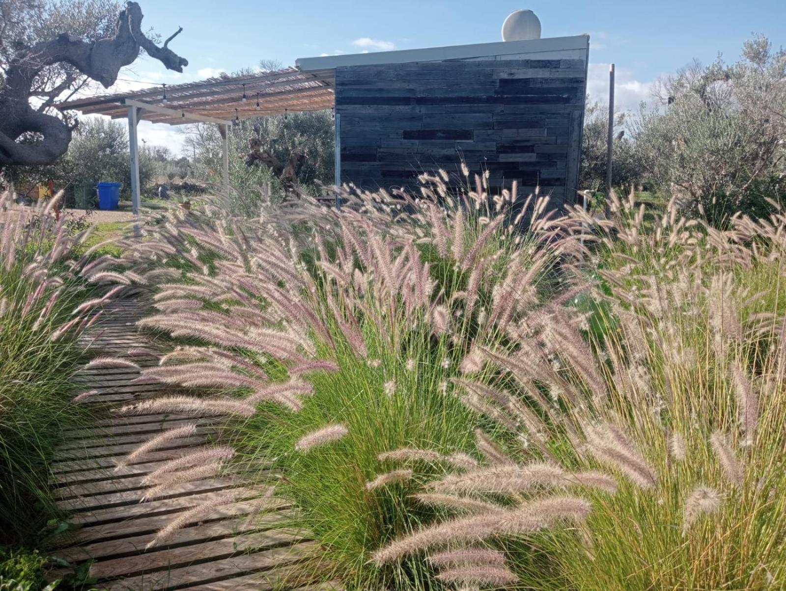 Macaria Agricampeggio Alliste Exterior photo